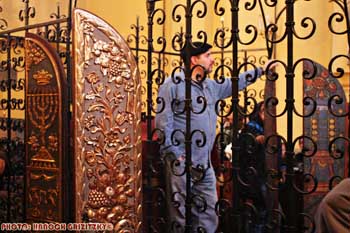 IMG_ (11383)